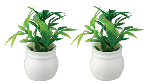 Plants, Set of 2